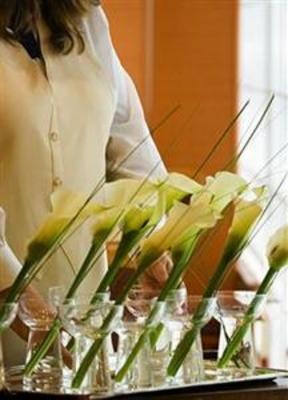 фото отеля Starhotels Tourist