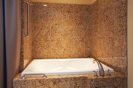 фото отеля Holiday Inn Houma