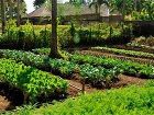 фото отеля Farm at San Benito