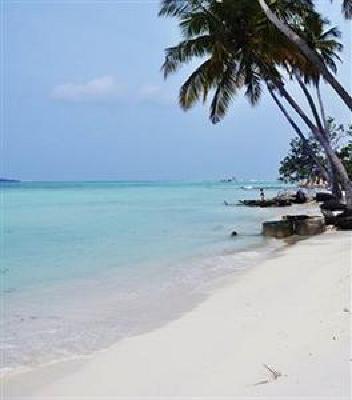 фото отеля Arena Lodge Maldives