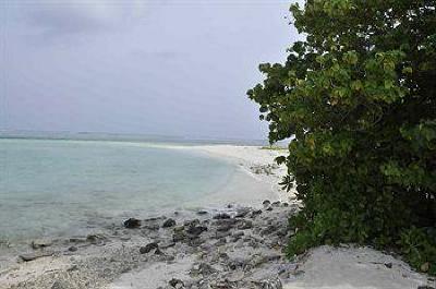 фото отеля Arena Lodge Maldives