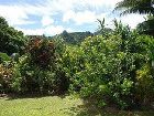 фото отеля Palm Grove Resort Rarotonga