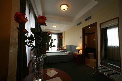 фото отеля President Hotel Pomezia