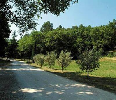 фото отеля La Macchia