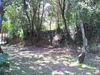 фото отеля Mas Salvanera