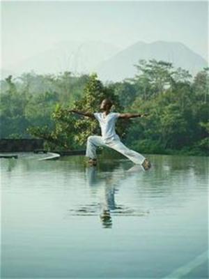 фото отеля Losari Spa Retreat & Coffee Plantation