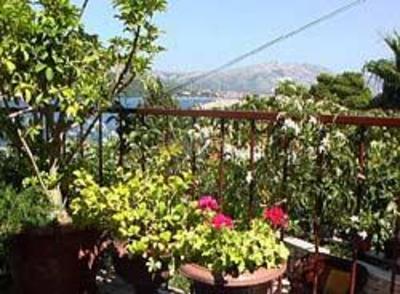фото отеля APARTMAN SARDELIC
