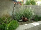 фото отеля Gostinyi dvor Olga