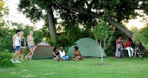 фото отеля Tube n Axe Backpackers Lodge