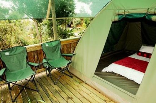фото отеля Tube n Axe Backpackers Lodge
