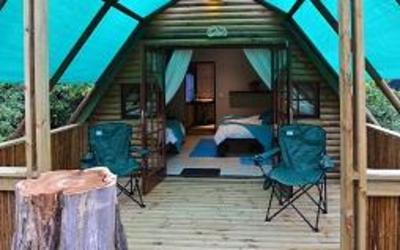 фото отеля Tube n Axe Backpackers Lodge