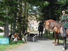 фото отеля Le Moulin des Foulons