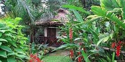 фото отеля Orchid Retreat