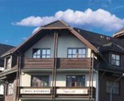 фото отеля Hotel Achtermann Braunlage