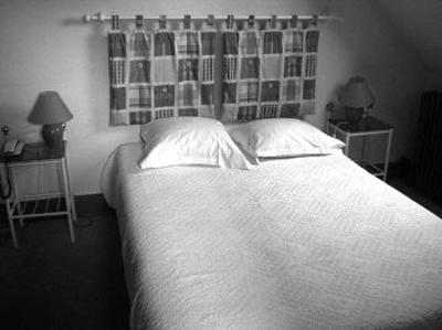 фото отеля Auberge Du Val De Loir Hotel Dissay Sous Courcillon