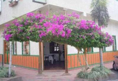 фото отеля Hostal Veraneras