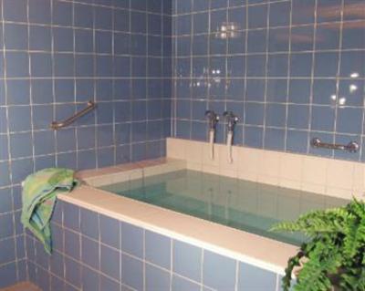 фото отеля Paradies Apartments Arosa