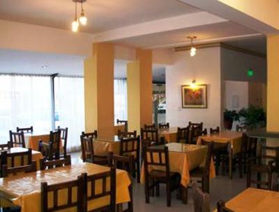 фото отеля Hotel Puelches