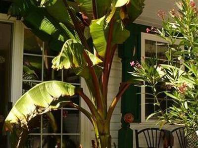 фото отеля Canborough Orchards B&B