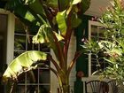 фото отеля Canborough Orchards B&B