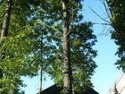 фото отеля Canborough Orchards B&B