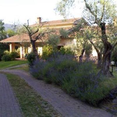 фото отеля Olivanda Agriturismo Bed and Breakfast