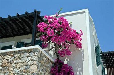 фото отеля Rose Bay Hotel