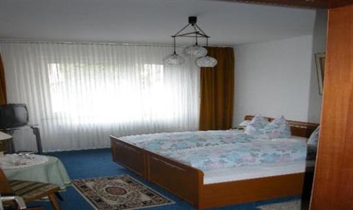 фото отеля Hotel City-West