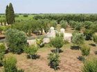 фото отеля Masseria Terra Dei Padri Hotel Lecce