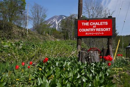 фото отеля The Chalets at Country Resort Kutchan