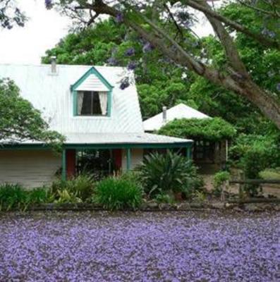 фото отеля The African Cottage