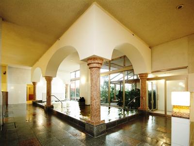 фото отеля Spa & Hotel Maihama Eurasia