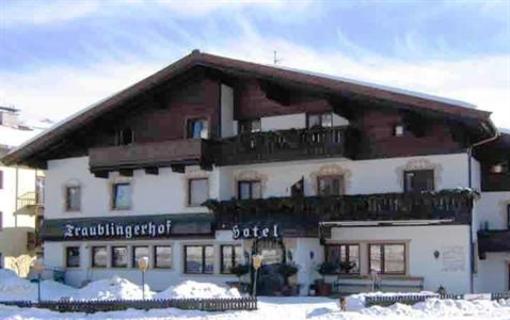 фото отеля Hotel Traublingerhof