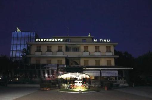 фото отеля Hotel Ai Tigli Langhirano