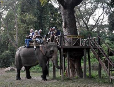 фото отеля Gaida Wildlife Camp Lodge Chitwan