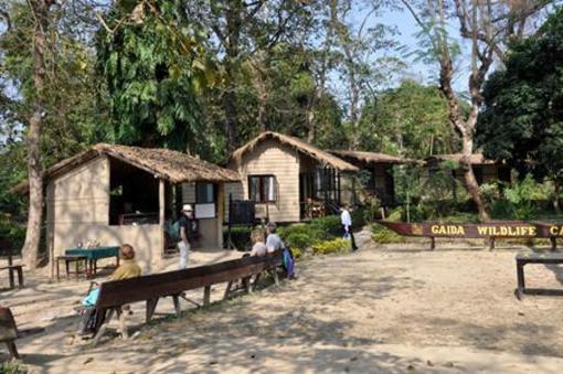 фото отеля Gaida Wildlife Camp Lodge Chitwan