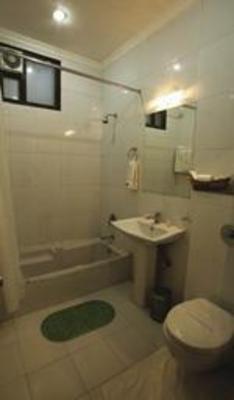 фото отеля Hotel Sarovar Regency