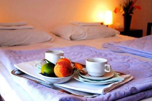 фото отеля Hotel Smetana-Vysehrad