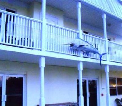 фото отеля Tarpon Flats Inn & Marina