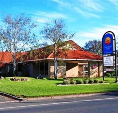 фото отеля Comfort Inn Silver Birch