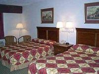 Comfort Inn & Suites Airport North