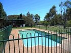 фото отеля Twin Trees Country Cottages Pokolbin