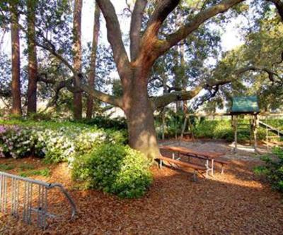 фото отеля Palmetto Dunes Vacation Rentals