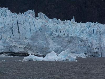 фото отеля Glacier Bay's Bear Track Inn