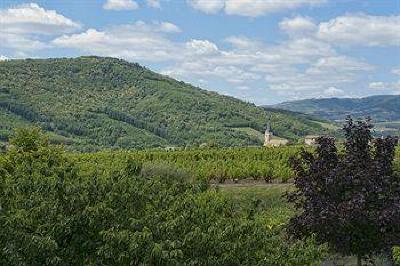 фото отеля Hotel Des Vignes Julienas