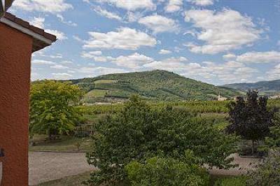 фото отеля Hotel Des Vignes Julienas