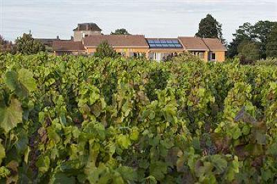 фото отеля Hotel Des Vignes Julienas