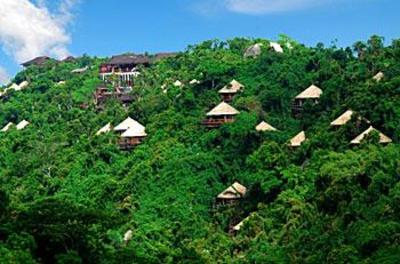 фото отеля Earthly Paradise Bird Nest Resort
