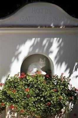 фото отеля Gatto Bianco