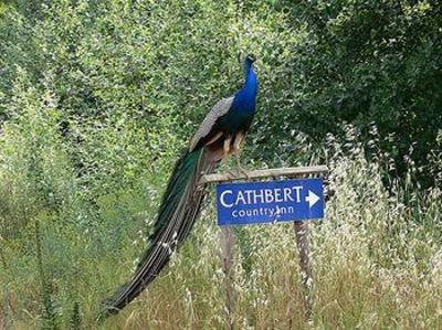 фото отеля Cathbert Country Inn